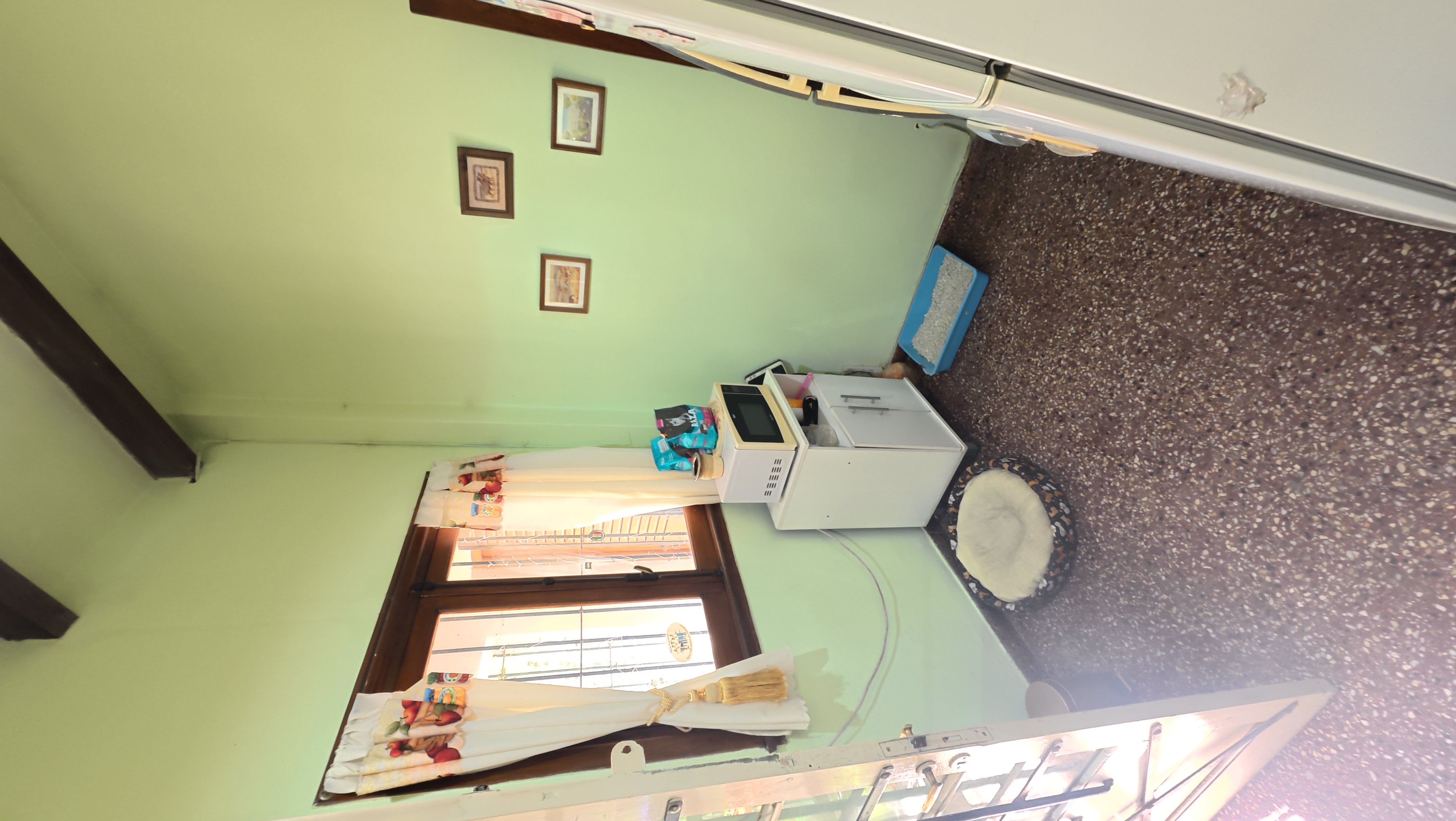 Imagen 5
