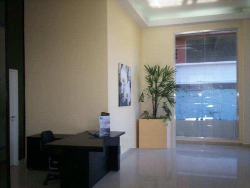 Imagen 2