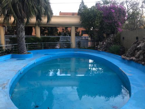 Imagen 6