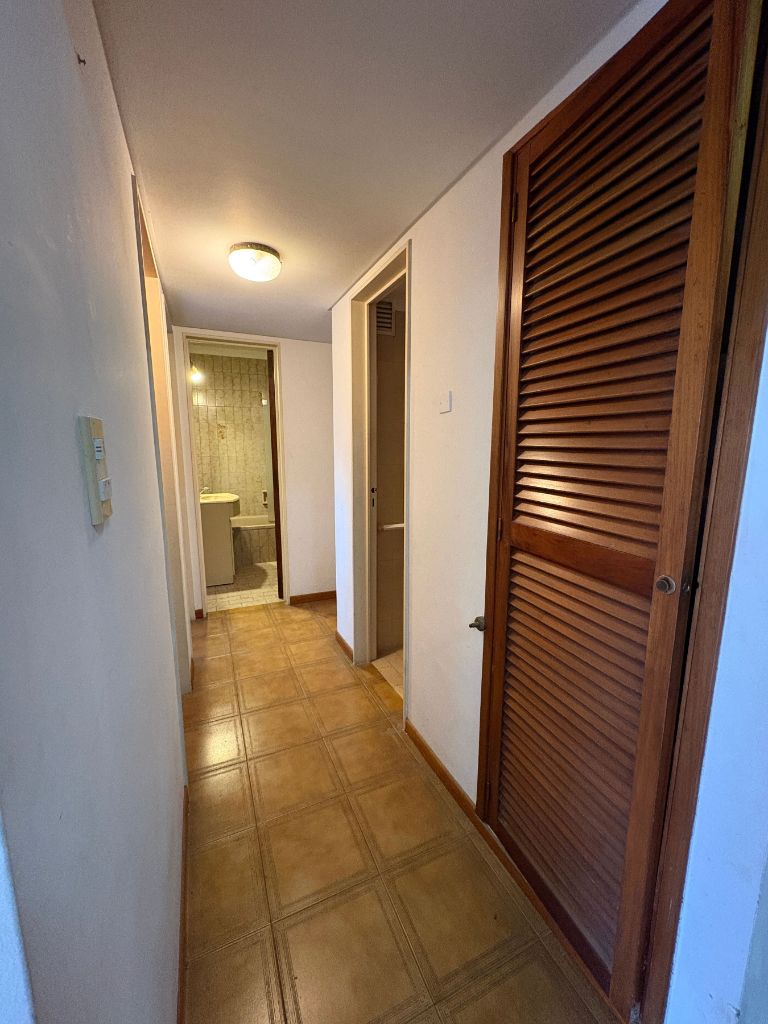 Imagen 12