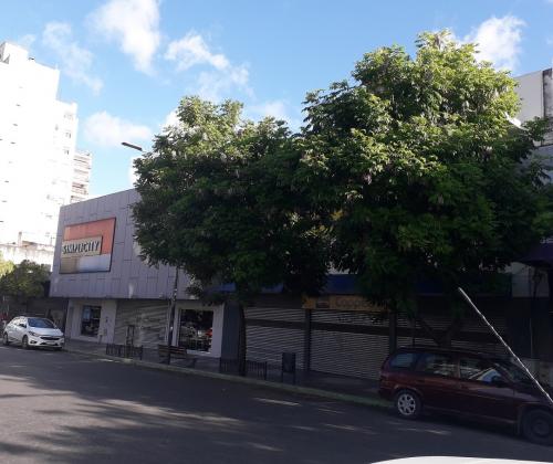 Imagen 1