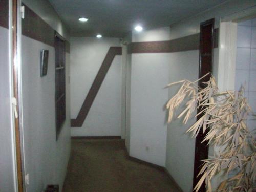 Imagen 6