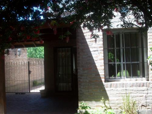 Imagen 6