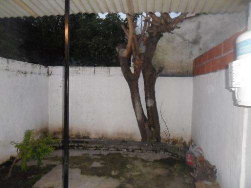 Imagen 8