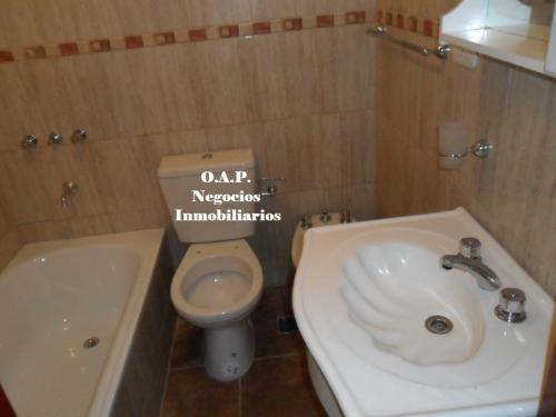 Imagen 6